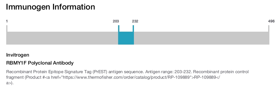 RBMY1F Polyclonal Antibody