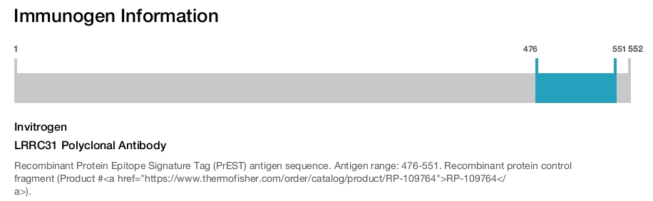 LRRC31 Polyclonal Antibody