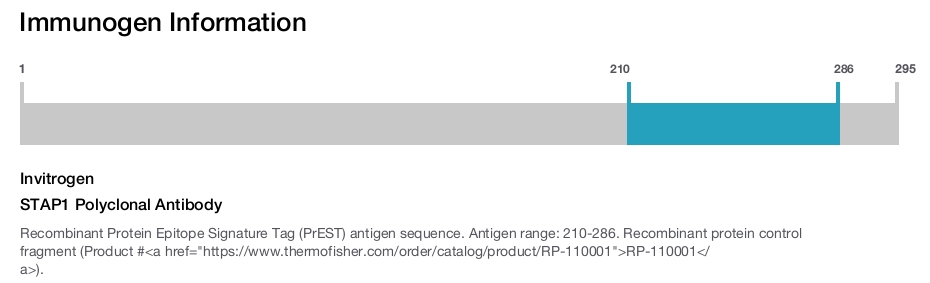 STAP1 Polyclonal Antibody