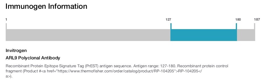 ARL9 Polyclonal Antibody