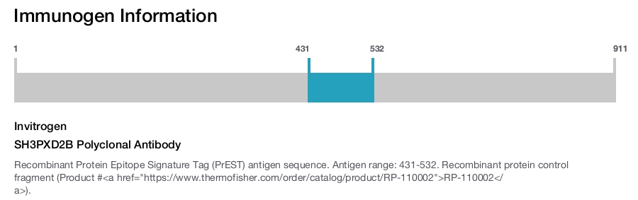 SH3PXD2B Polyclonal Antibody