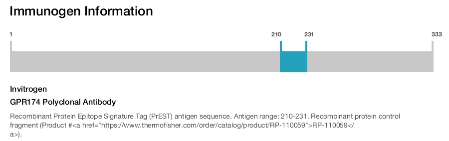 GPR174 Polyclonal Antibody