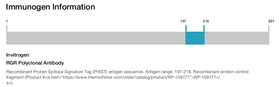 RGR Polyclonal Antibody