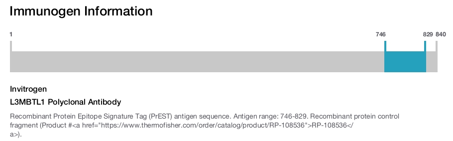 L3MBTL1 Polyclonal Antibody