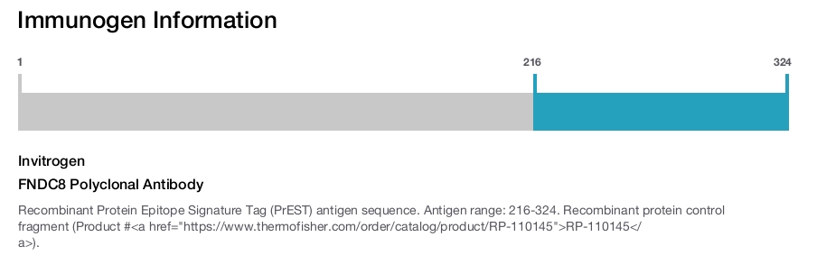 FNDC8 Polyclonal Antibody
