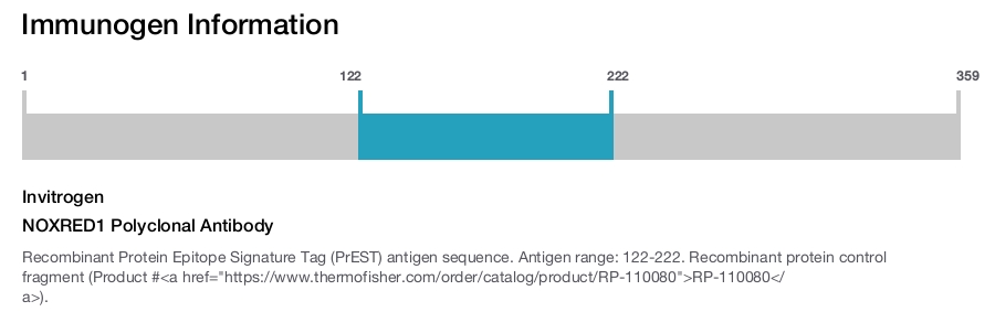 NOXRED1 Polyclonal Antibody