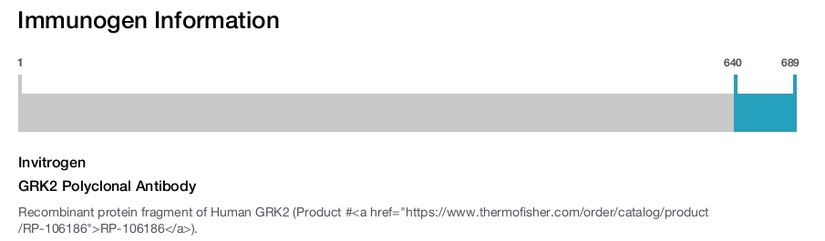 GRK2 Polyclonal Antibody