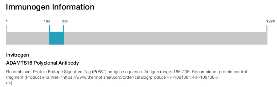 ADAMTS16 Polyclonal Antibody