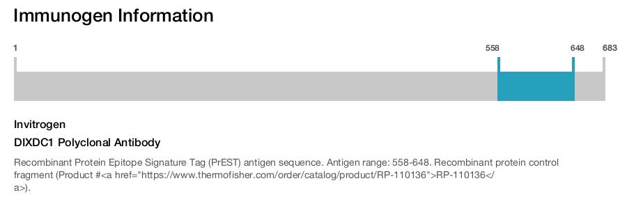 DIXDC1 Polyclonal Antibody