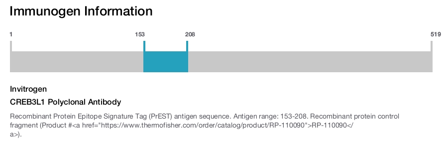 CREB3L1 Polyclonal Antibody
