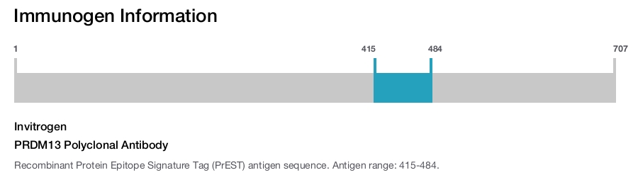 PRDM13 Polyclonal Antibody