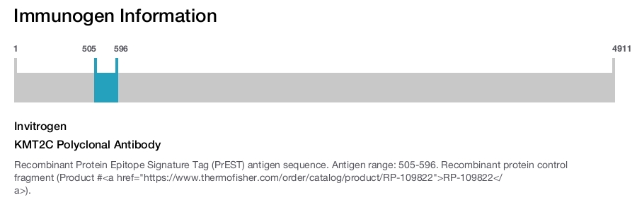 KMT2C Polyclonal Antibody