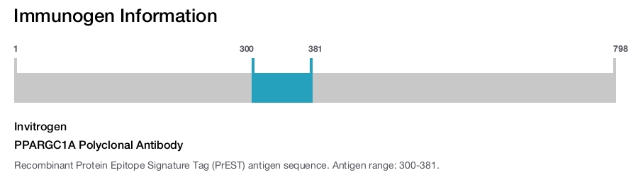 PPARGC1A Polyclonal Antibody