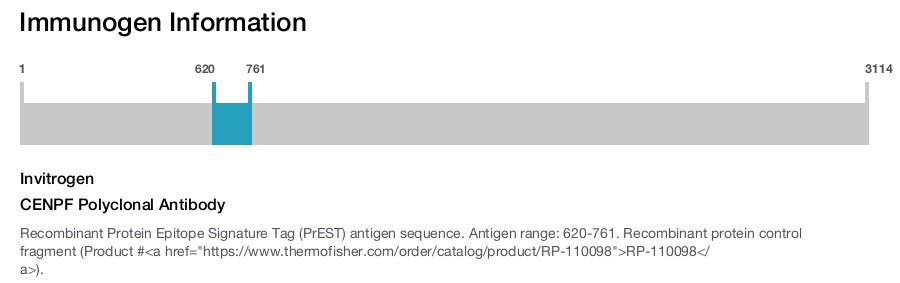 CENPF Polyclonal Antibody