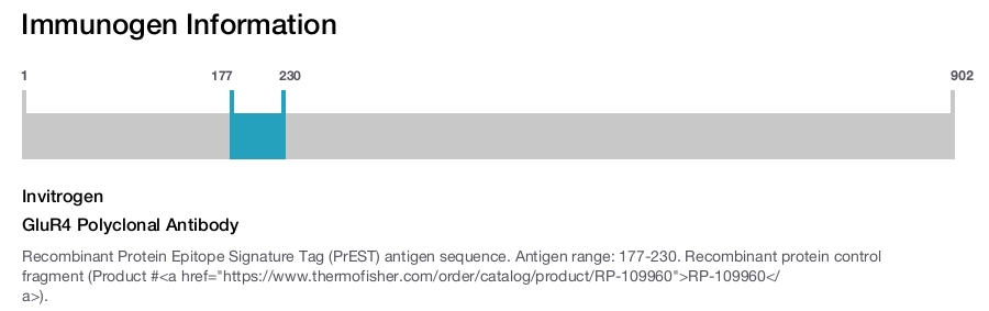 GluR4 Polyclonal Antibody