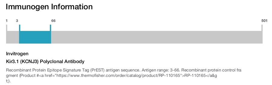 Kir3.1 (KCNJ3) Polyclonal Antibody