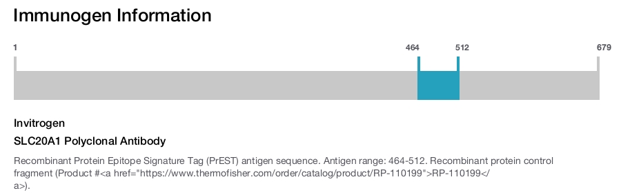 SLC20A1 Polyclonal Antibody