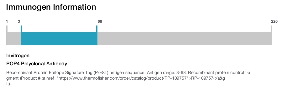 POP4 Polyclonal Antibody