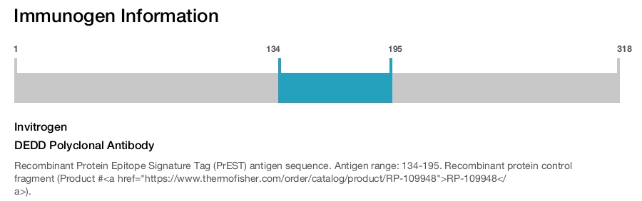 DEDD Polyclonal Antibody