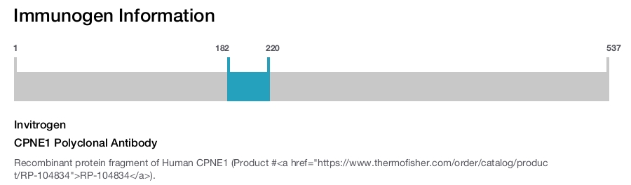 CPNE1 Polyclonal Antibody