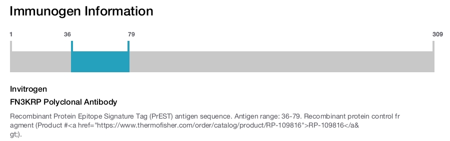 FN3KRP Polyclonal Antibody