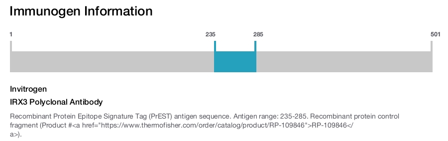 IRX3 Polyclonal Antibody