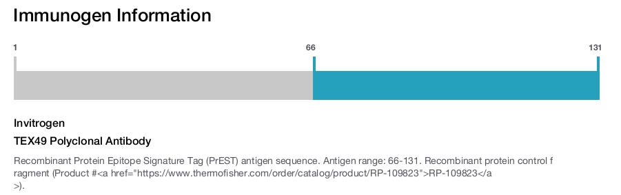 TEX49 Polyclonal Antibody