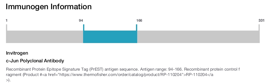 c-Jun Polyclonal Antibody