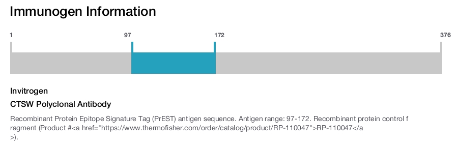 CTSW Polyclonal Antibody