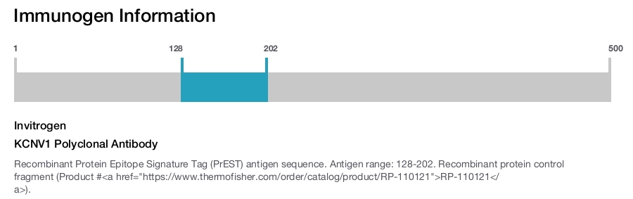 KCNV1 Polyclonal Antibody