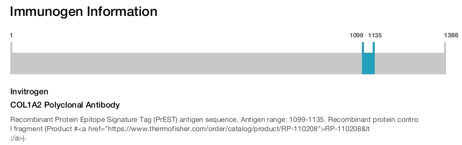 COL1A2 Polyclonal Antibody