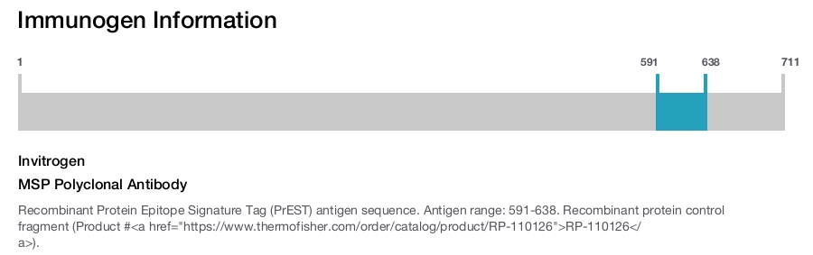 MSP Polyclonal Antibody