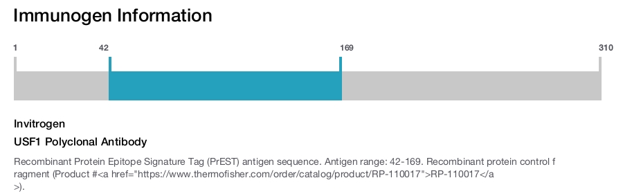 USF1 Polyclonal Antibody