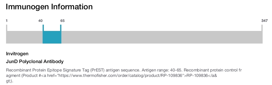 JunD Polyclonal Antibody