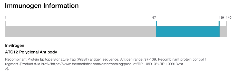ATG12 Polyclonal Antibody