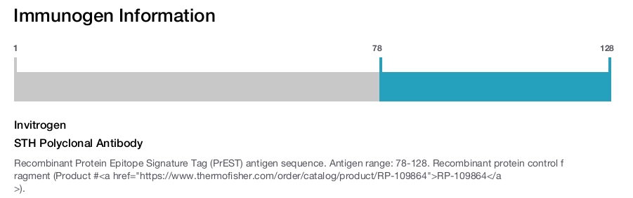 STH Polyclonal Antibody