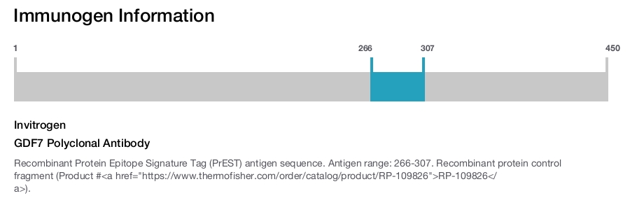 GDF7 Polyclonal Antibody