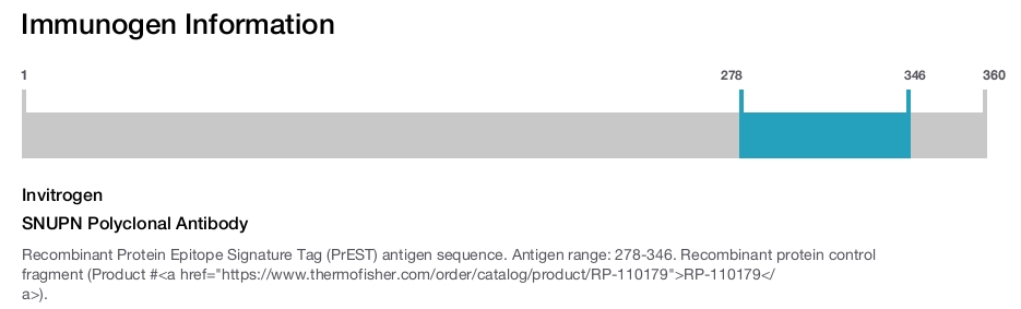 SNUPN Polyclonal Antibody