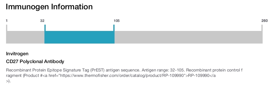 CD27 Polyclonal Antibody