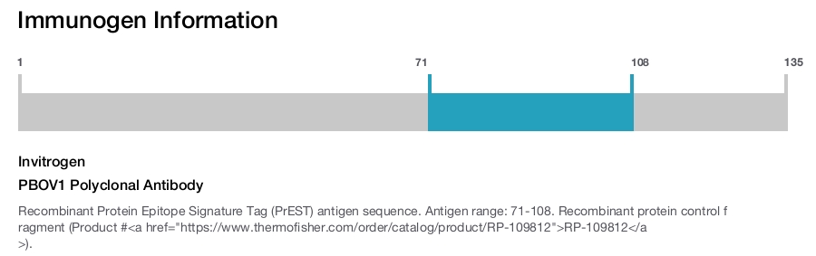PBOV1 Polyclonal Antibody