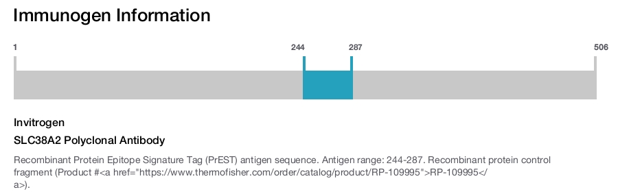 SLC38A2 Polyclonal Antibody