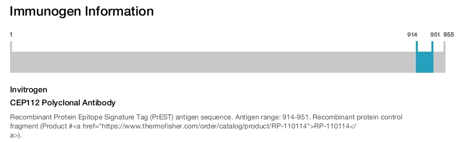 CEP112 Polyclonal Antibody