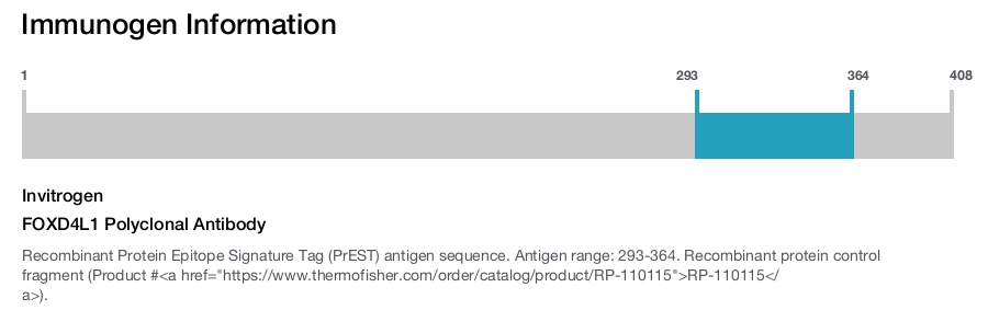 FOXD4L1 Polyclonal Antibody