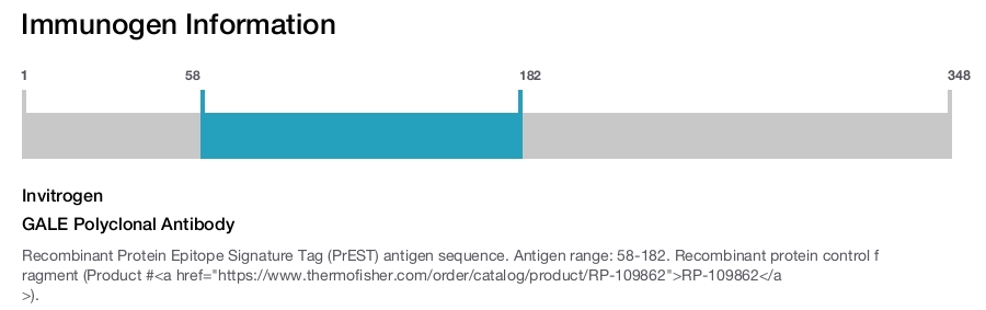 GALE Polyclonal Antibody