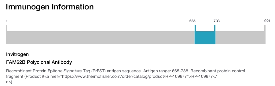 FAM62B Polyclonal Antibody
