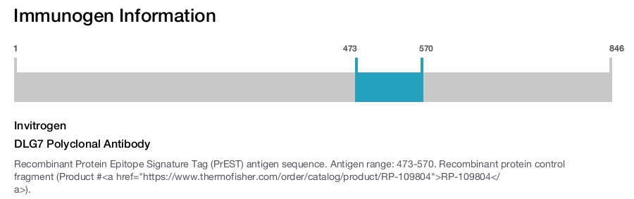DLG7 Polyclonal Antibody