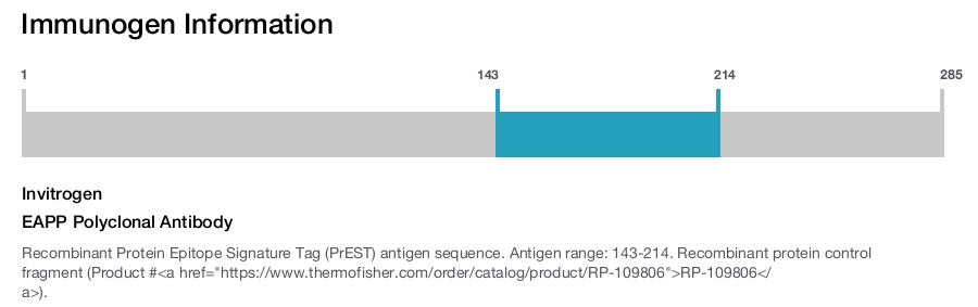 EAPP Polyclonal Antibody