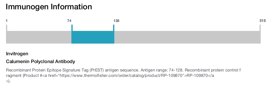 Calumenin Polyclonal Antibody
