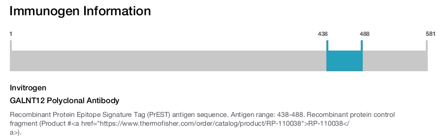 GALNT12 Polyclonal Antibody