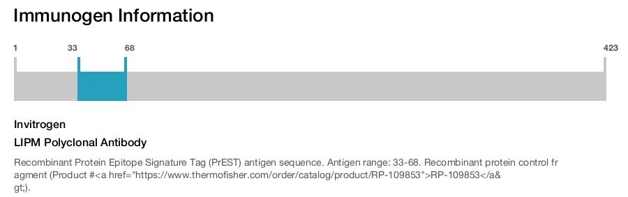 LIPM Polyclonal Antibody